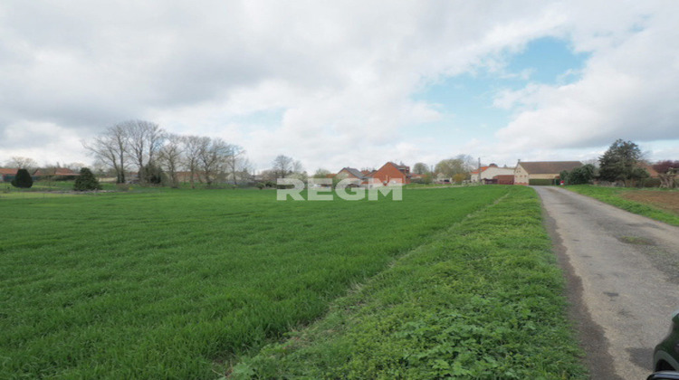 Ma-Cabane - Vente Terrain Hénin-sur-Cojeul, 6550 m²