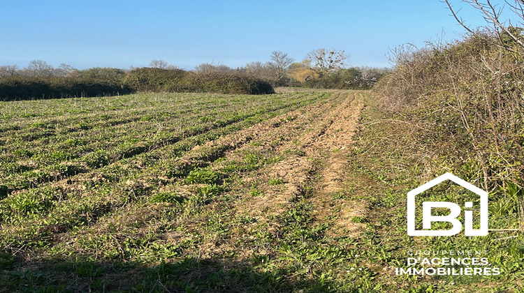 Ma-Cabane - Vente Terrain HERMANVILLE-SUR-MER, 16130 m²