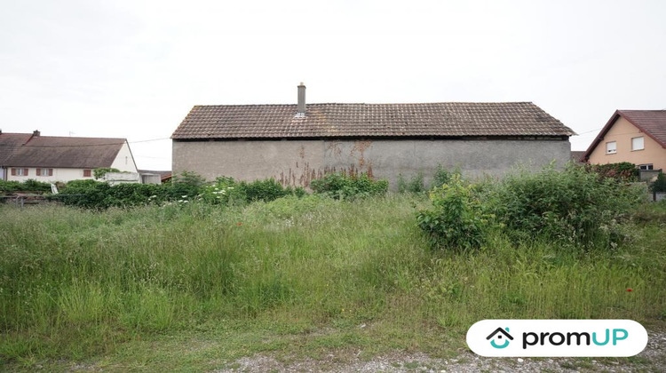 Ma-Cabane - Vente Terrain Hirtzfelden, 477 m²
