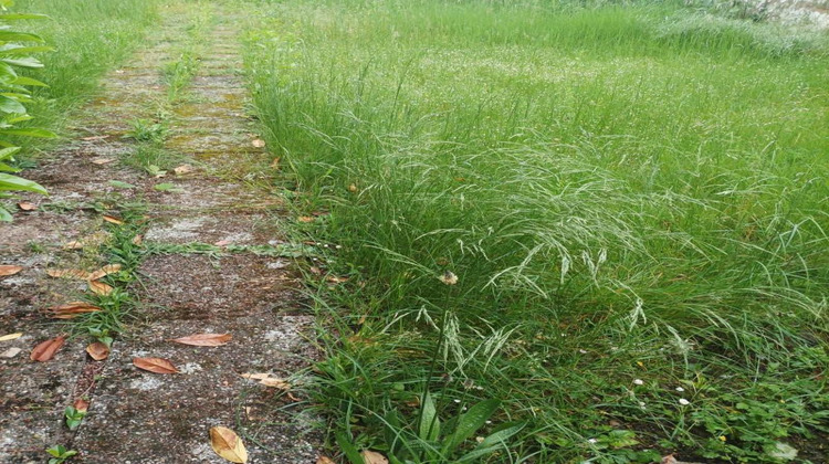 Ma-Cabane - Vente Terrain HOERDT, 327 m²