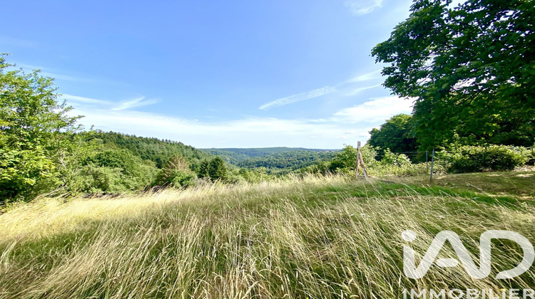 Ma-Cabane - Vente Terrain Hommert, 3115 m²