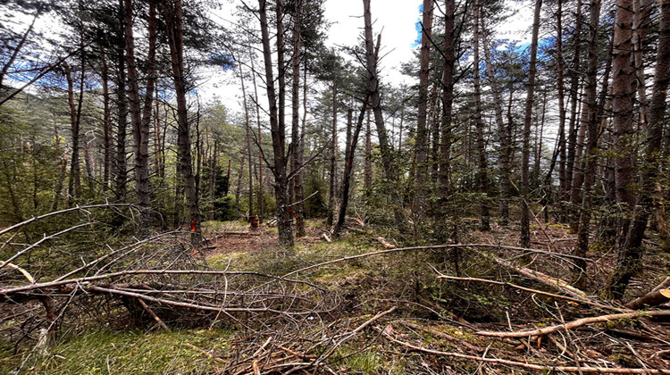 Ma-Cabane - Vente Terrain ILONSE, 32905 m²