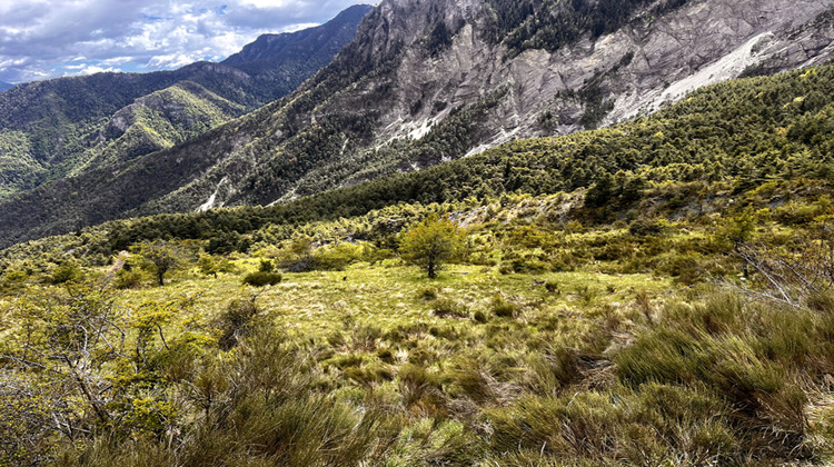 Ma-Cabane - Vente Terrain ILONSE, 32905 m²