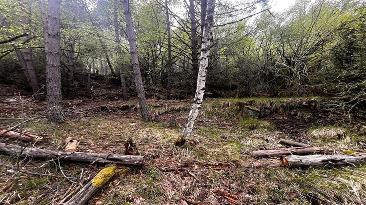 Ma-Cabane - Vente Terrain ILONSE, 32905 m²