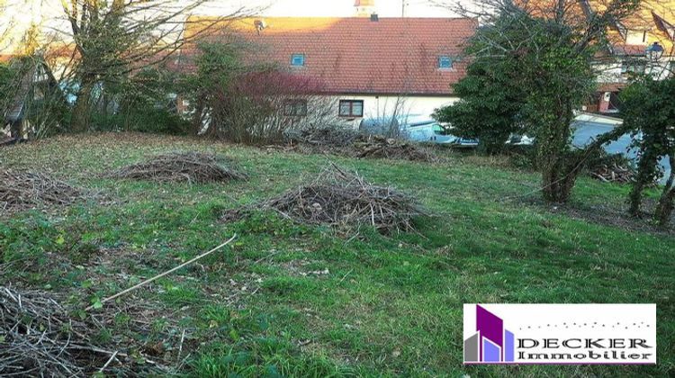 Ma-Cabane - Vente Terrain Ingwiller, 700 m²