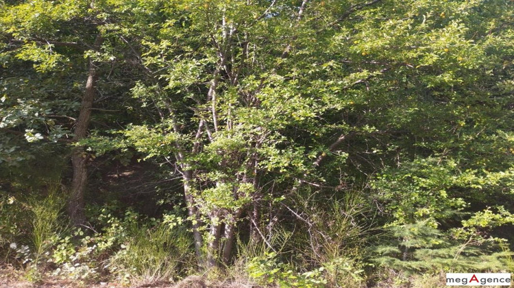 Ma-Cabane - Vente Terrain ISPAGNAC, 4671 m²