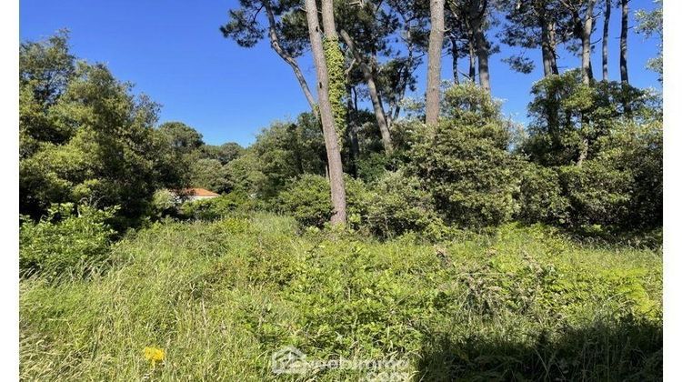 Ma-Cabane - Vente Terrain Jard-sur-Mer, 2374 m²