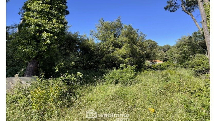 Ma-Cabane - Vente Terrain Jard-sur-Mer, 1182 m²