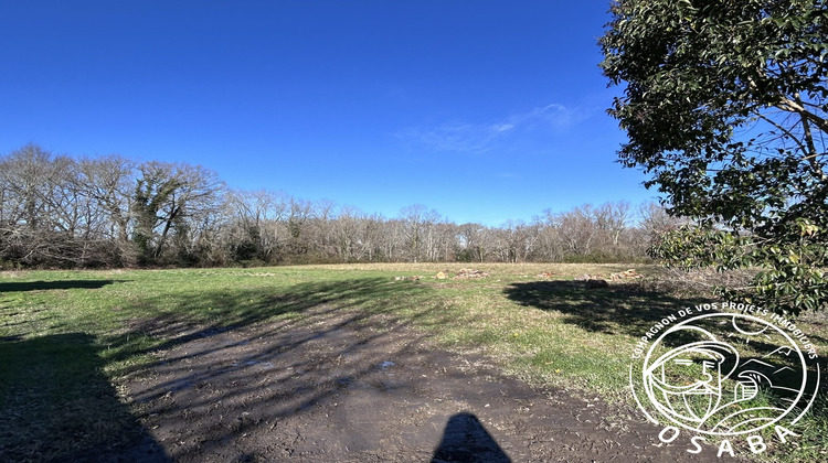 Ma-Cabane - Vente Terrain Jatxou, 556 m²