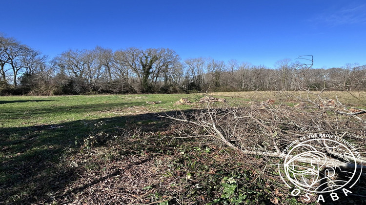 Ma-Cabane - Vente Terrain Jatxou, 556 m²