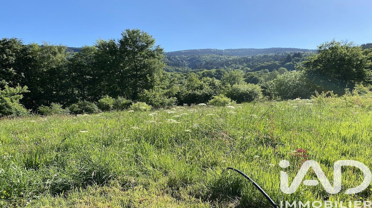 Ma-Cabane - Vente Terrain Job, 2655 m²