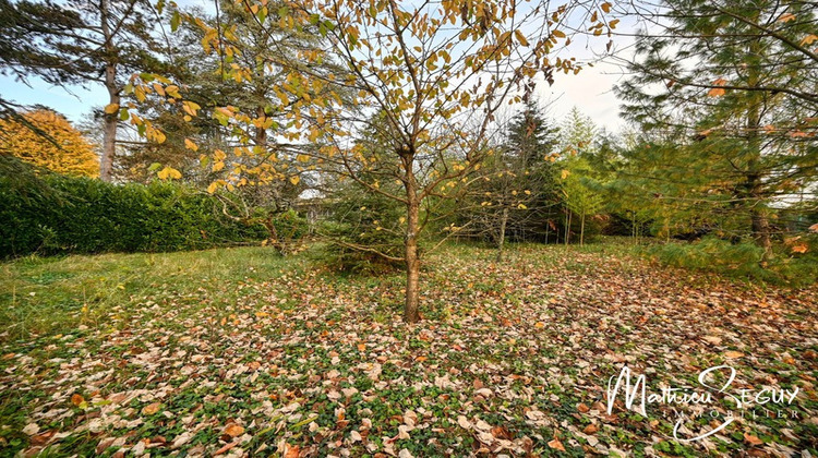 Ma-Cabane - Vente Terrain JONAGE, 1617 m²