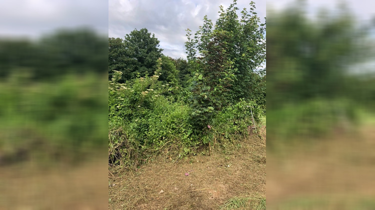 Ma-Cabane - Vente Terrain Jouarre, 554 m²