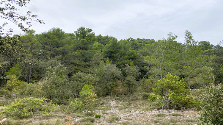 Ma-Cabane - Vente Terrain JOUQUES, 26079 m²