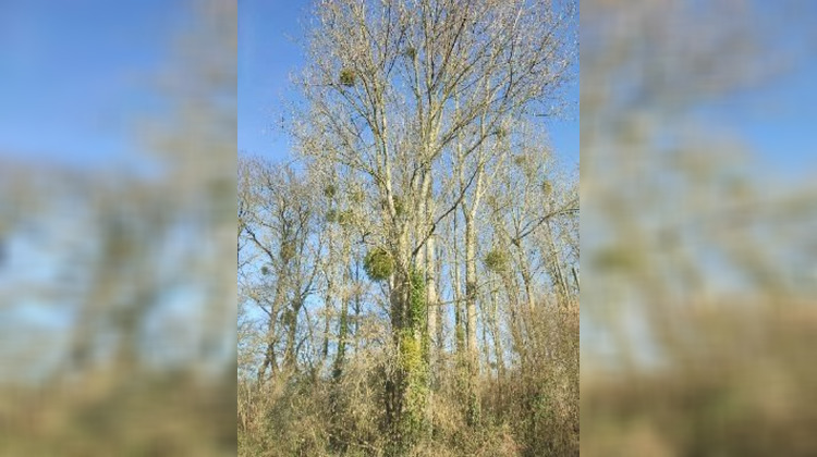 Ma-Cabane - Vente Terrain Jublains, 5805 m²