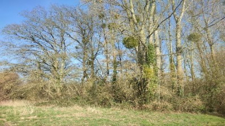 Ma-Cabane - Vente Terrain Jublains, 5805 m²