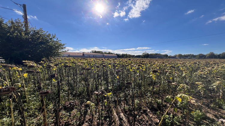 Ma-Cabane - Vente Terrain Juillan, 1399 m²