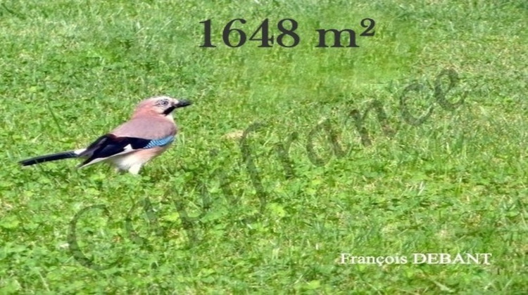 Ma-Cabane - Vente Terrain JUNIVILLE, 1648 m²