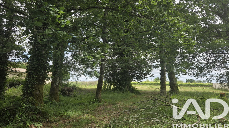 Ma-Cabane - Vente Terrain Jussas, 2180 m²