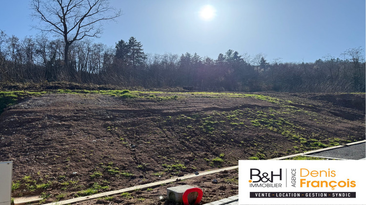 Ma-Cabane - Vente Terrain Katzenthal, 500 m²