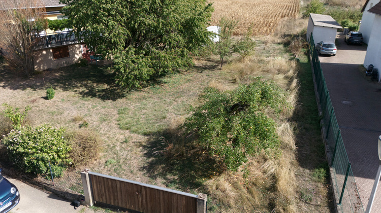 Ma-Cabane - Vente Terrain KERTZFELD, 692 m²