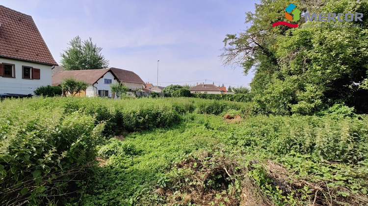 Ma-Cabane - Vente Terrain Kolbsheim, 432 m²