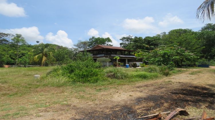 Ma-Cabane - Vente Terrain KOUROU, 5000 m²