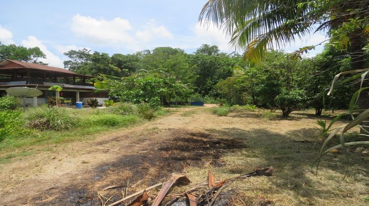 Ma-Cabane - Vente Terrain KOUROU, 5000 m²