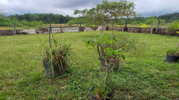 Ma-Cabane - Vente Terrain Kourou, 1191 m²