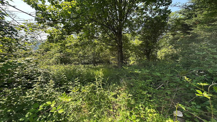 Ma-Cabane - Vente Terrain KRUTH, 2179 m²