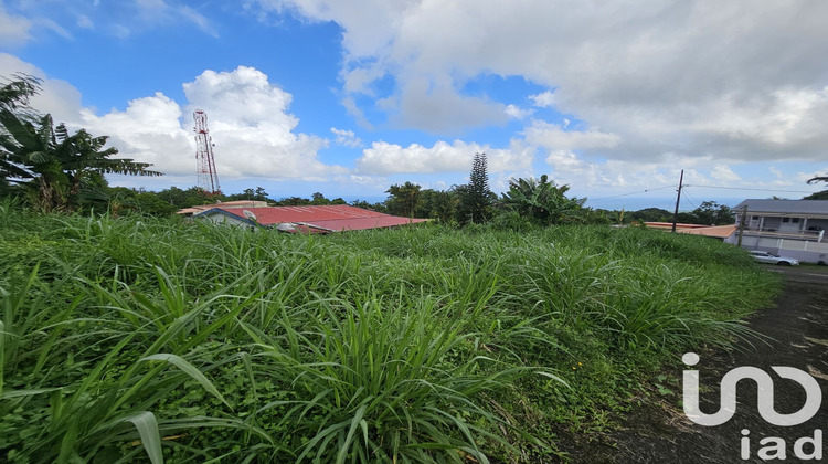 Ma-Cabane - Vente Terrain L'Ajoupa-Bouillon, 571 m²