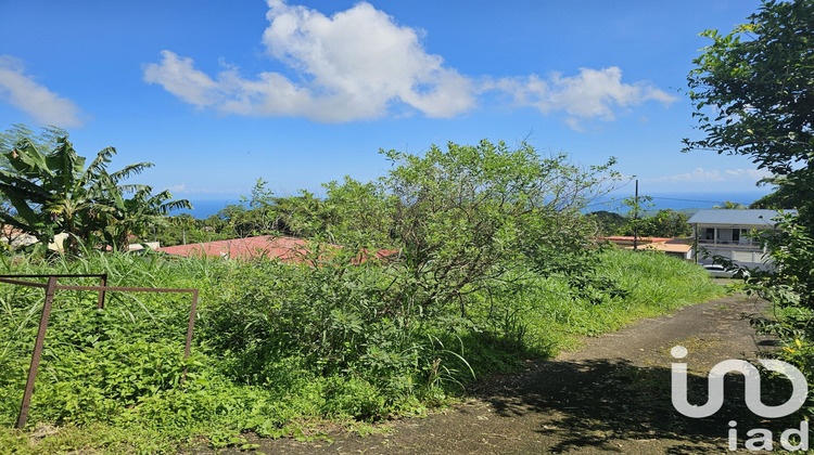 Ma-Cabane - Vente Terrain L'Ajoupa-Bouillon, 571 m²