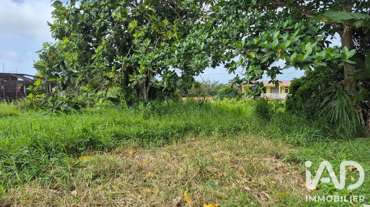 Ma-Cabane - Vente Terrain L'Ajoupa-Bouillon, 1142 m²