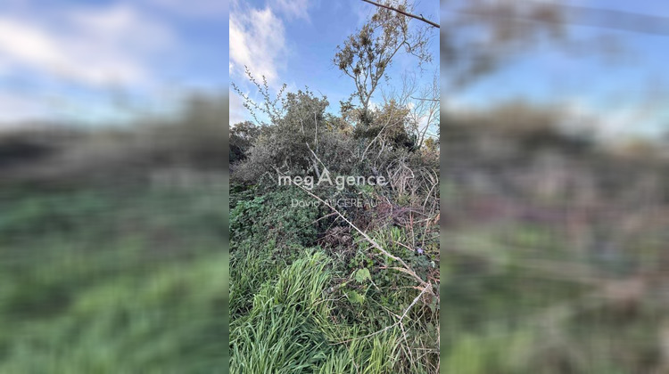 Ma-Cabane - Vente Terrain L ILE D YEU, 498 m²