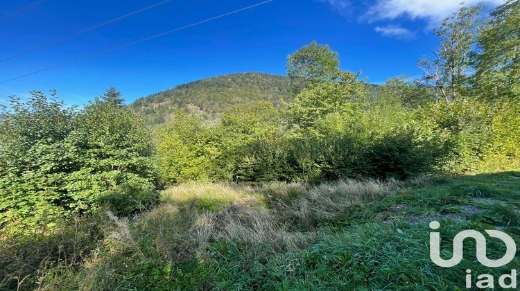 Ma-Cabane - Vente Terrain La Bresse, 1300 m²