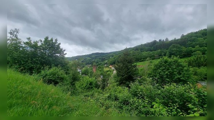 Ma-Cabane - Vente Terrain La Bresse, 5014 m²