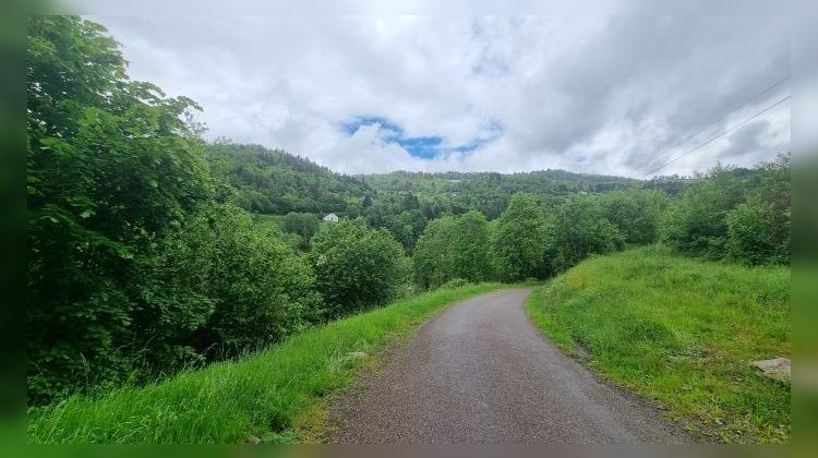 Ma-Cabane - Vente Terrain La Bresse, 5014 m²