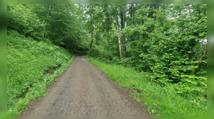 Ma-Cabane - Vente Terrain La Bresse, 5014 m²