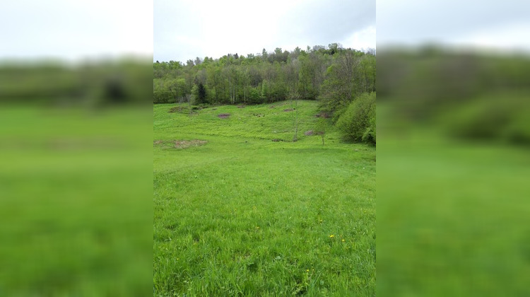 Ma-Cabane - Vente Terrain LA BRESSE, 1 m²