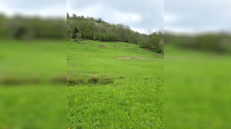 Ma-Cabane - Vente Terrain LA BRESSE, 1 m²