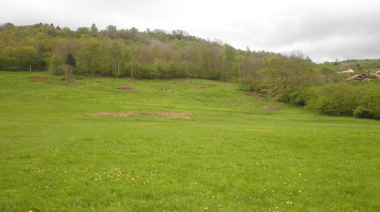 Ma-Cabane - Vente Terrain LA BRESSE, 1 m²