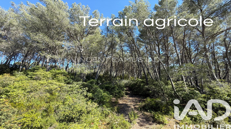 Ma-Cabane - Vente Terrain La Cadière-d'Azur, 7325 m²