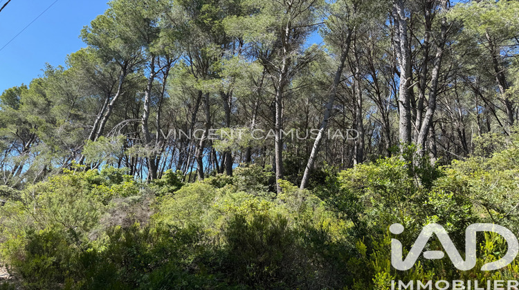 Ma-Cabane - Vente Terrain La Cadière-d'Azur, 7325 m²