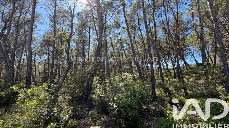 Ma-Cabane - Vente Terrain La Cadière-d'Azur, 7325 m²