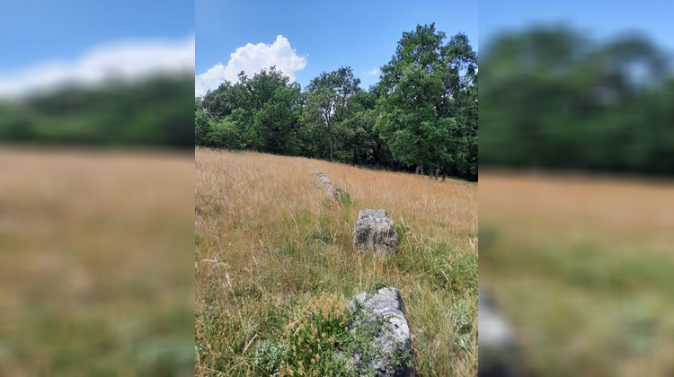 Ma-Cabane - Vente Terrain La Cavalerie, 9695 m²