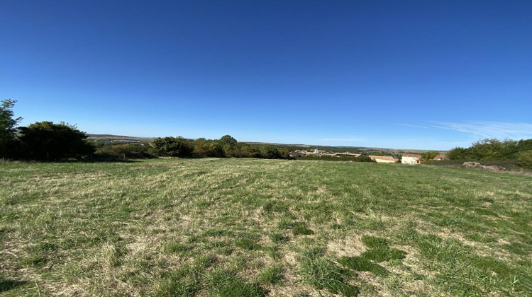 Ma-Cabane - Vente Terrain LA CAVALERIE, 5630 m²