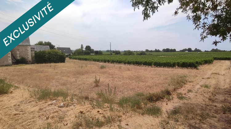 Ma-Cabane - Vente Terrain La Chapelle-sur-Loire, 1218 m²