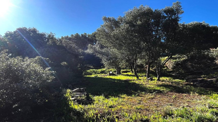 Ma-Cabane - Vente Terrain LA CIOTAT, 0 m²