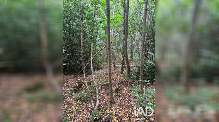 Ma-Cabane - Vente Terrain La Croix Aux Bois, 7705 m²