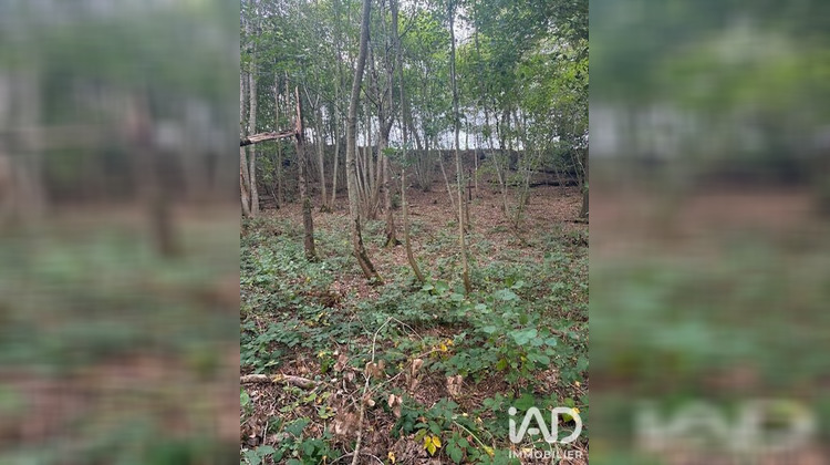 Ma-Cabane - Vente Terrain La Croix Aux Bois, 7705 m²